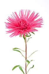 Similar image 311769