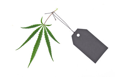 Similar image 311867