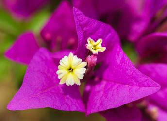 Similar image 311929