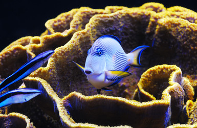 Similar image 311933