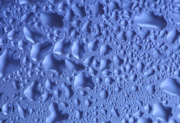 Similar image 311940