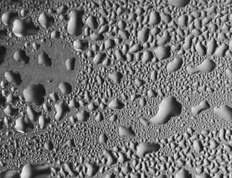 Similar image 311948