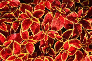 Similar image 311951