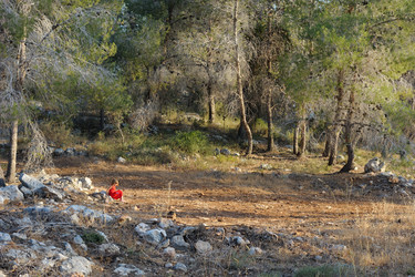 Similar image 311952