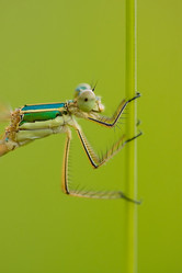 Similar image 311958