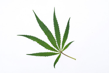 Similar image 311977