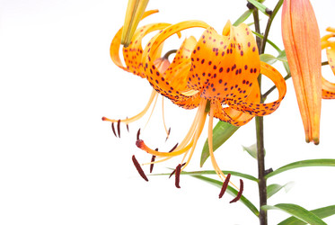 Similar image 311985