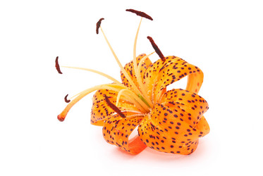 Similar image 311986