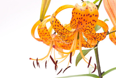 Similar image 311987