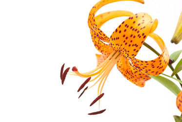 Similar image 311989