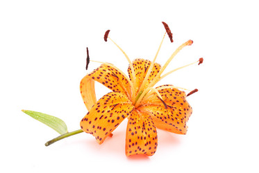 Similar image 311990