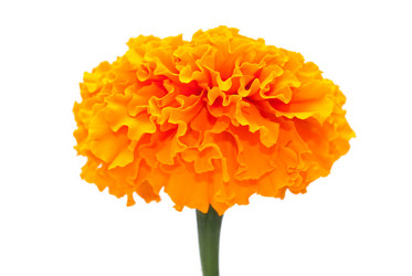 Similar image 311991