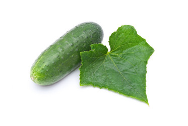 Similar image 311998