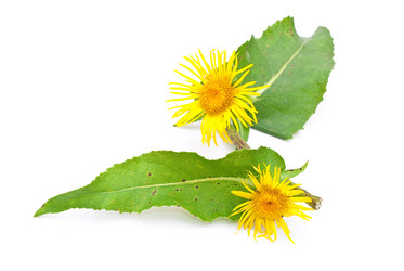 Similar image 311999