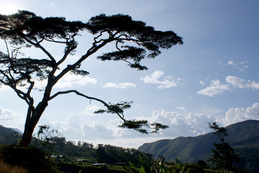 Similar image 312013