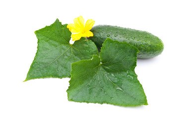 Similar image 312014