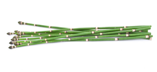 Similar image 312032