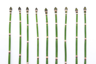 Similar image 312033