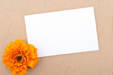 Similar image 312043