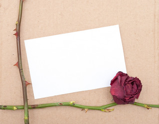 Similar image 312044