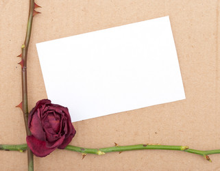 Similar image 312046