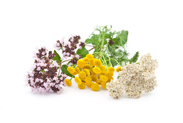 Similar image 312047