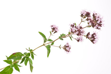 Similar image 312049