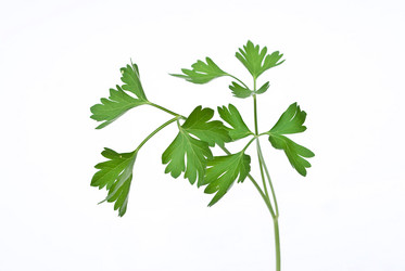 Similar image 312056