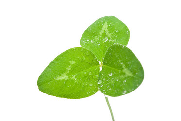 Similar image 312058