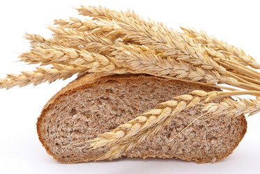 Similar image 312064