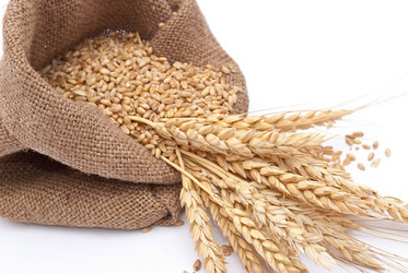 Similar image 312068