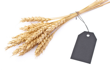 Similar image 312069