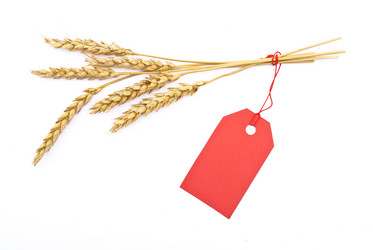 Similar image 312072