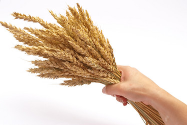 Similar image 312073