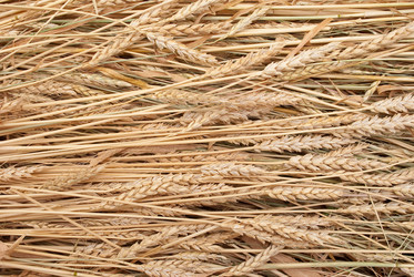 Similar image 312074