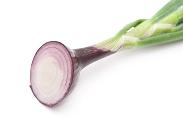 Similar image 312075