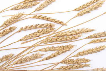 Similar image 312077