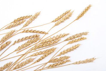 Similar image 312078