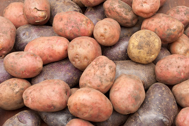 Similar image 312094