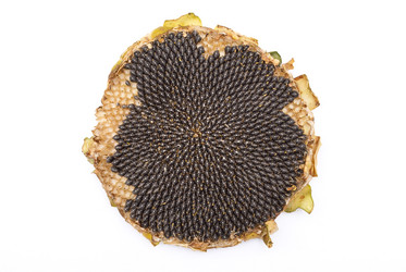 Similar image 312102