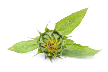 Similar image 312106