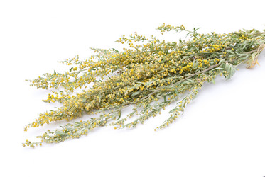 Similar image 312108