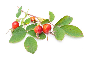 Similar image 312115