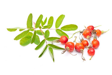 Similar image 312116