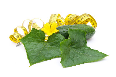 Similar image 312117