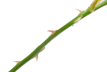 Similar image 312119