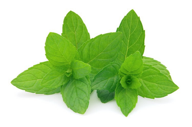 Similar image 312120