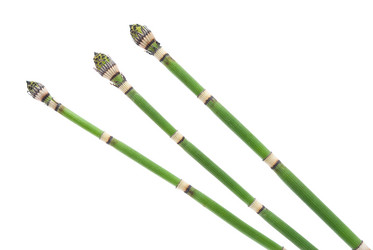 Similar image 312152