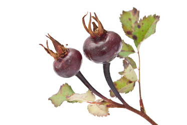 Similar image 312163