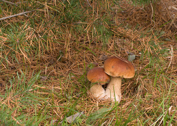 Similar image 312206